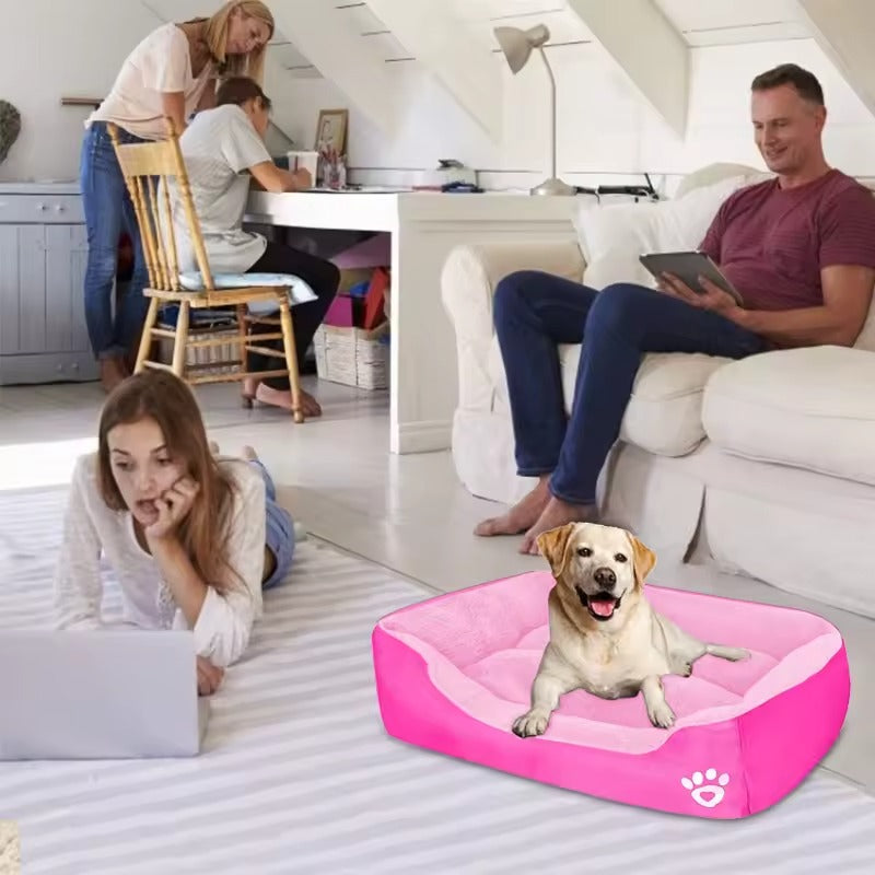Dog lying on a pink pet bed in a home setting with people in the background.