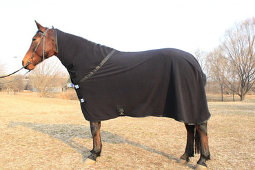 Horse wearing a black blanket in an open field with trees in the background