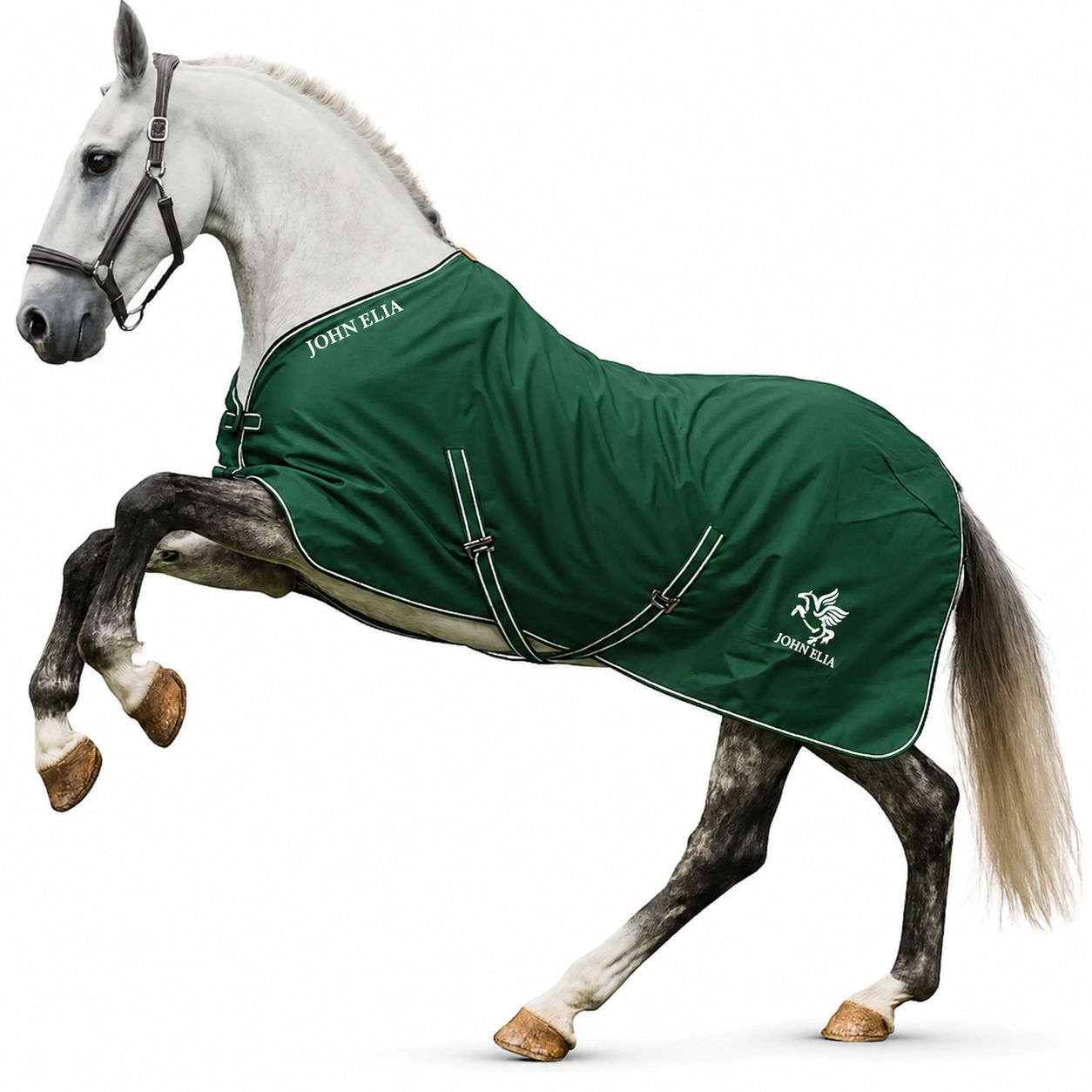 1200D Summer Stable Sheet Horse Rug in Green by John Elia, lightweight horse stable blanket for summer comfort