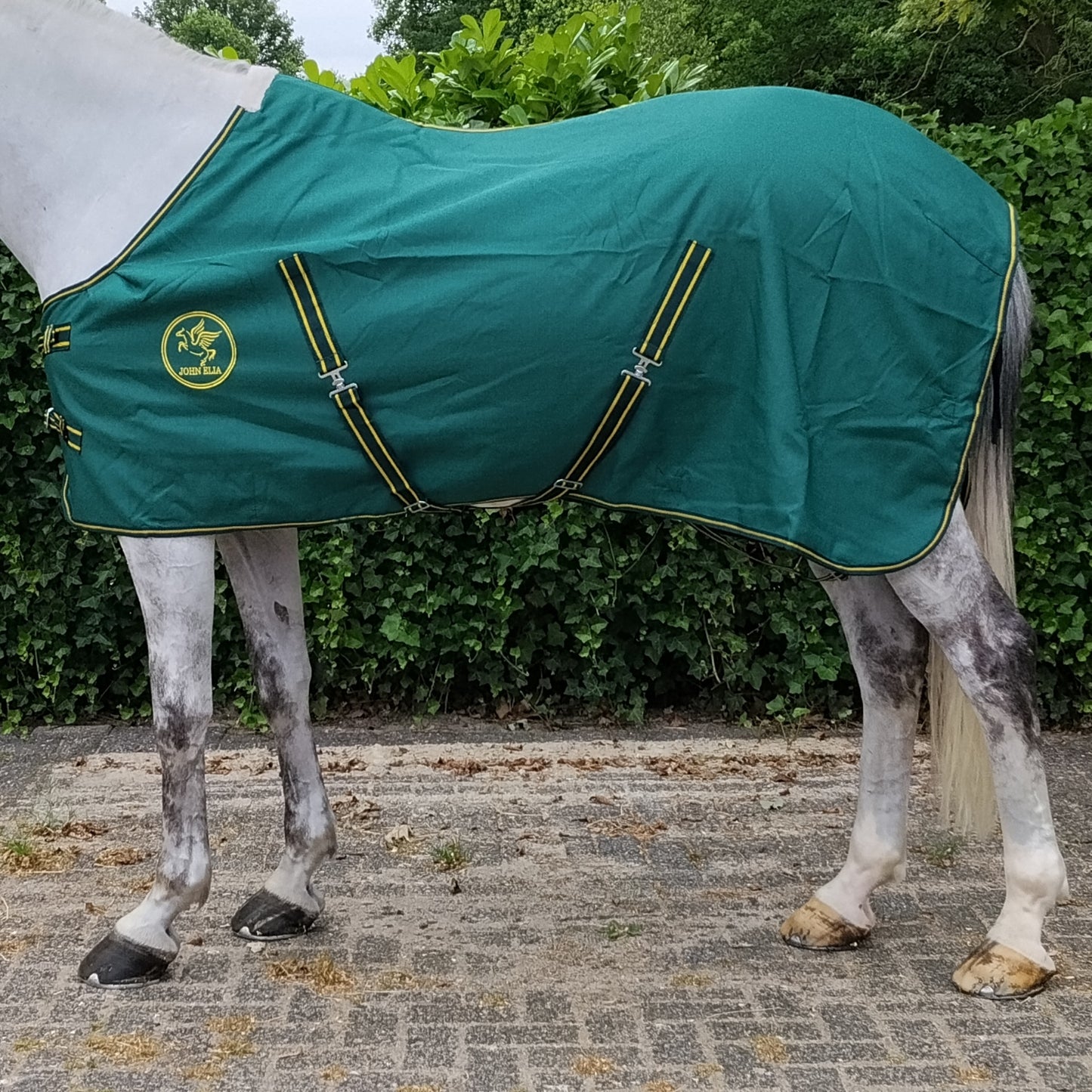 Summer Stable Sheet 1200D Ripstop – Buckle Front