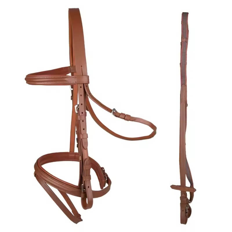 Brown leather horse bridle on a white background