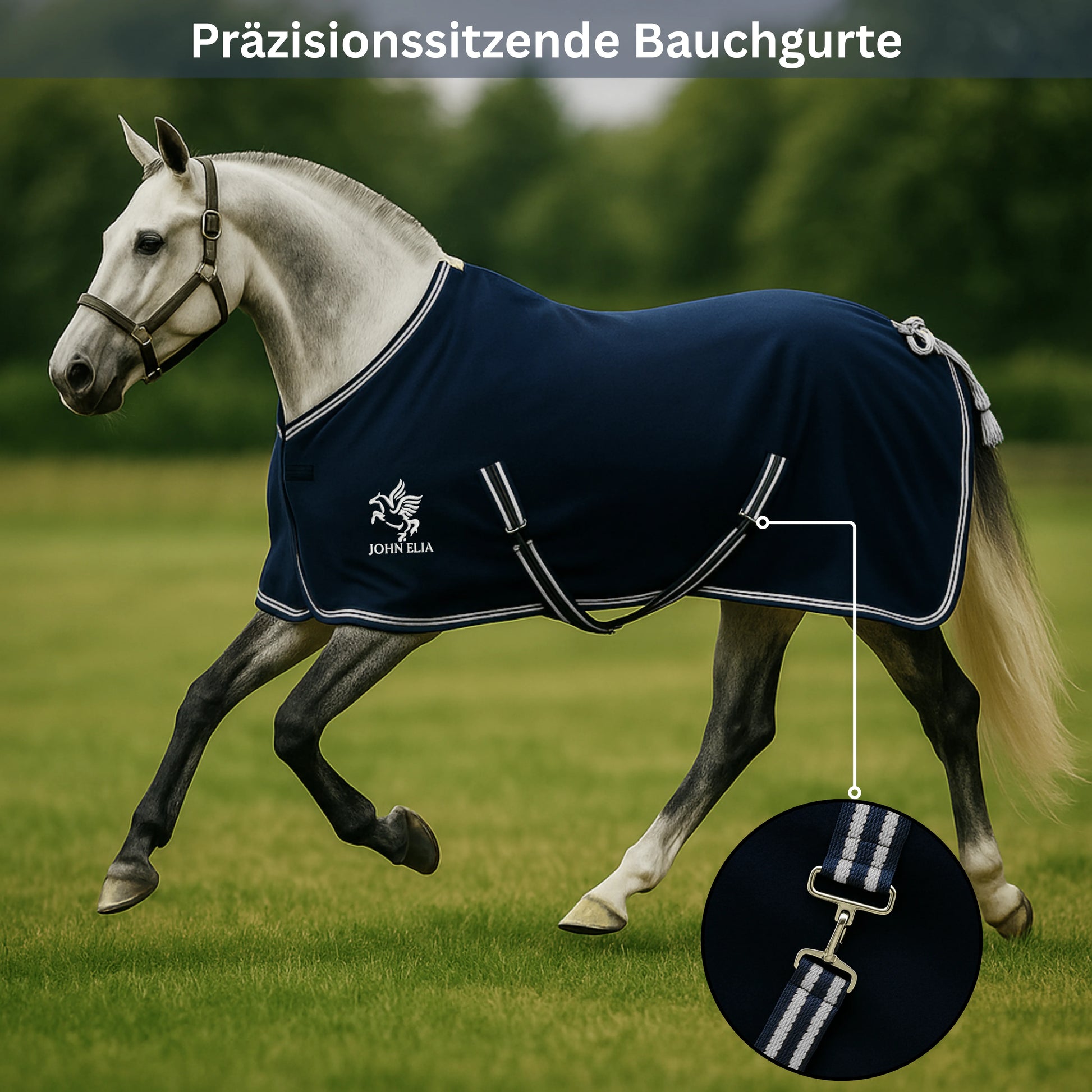 Horse wearing a navy blue rug with a brand logo, running on grass.