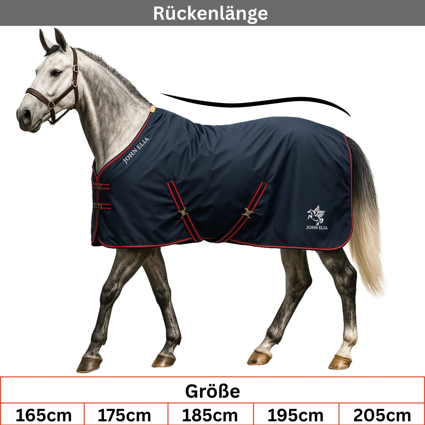 Horse wearing a navy blanket with red trim, standing on a white background.