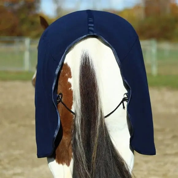 Horse wearing a blue fleece in an outdoor setting