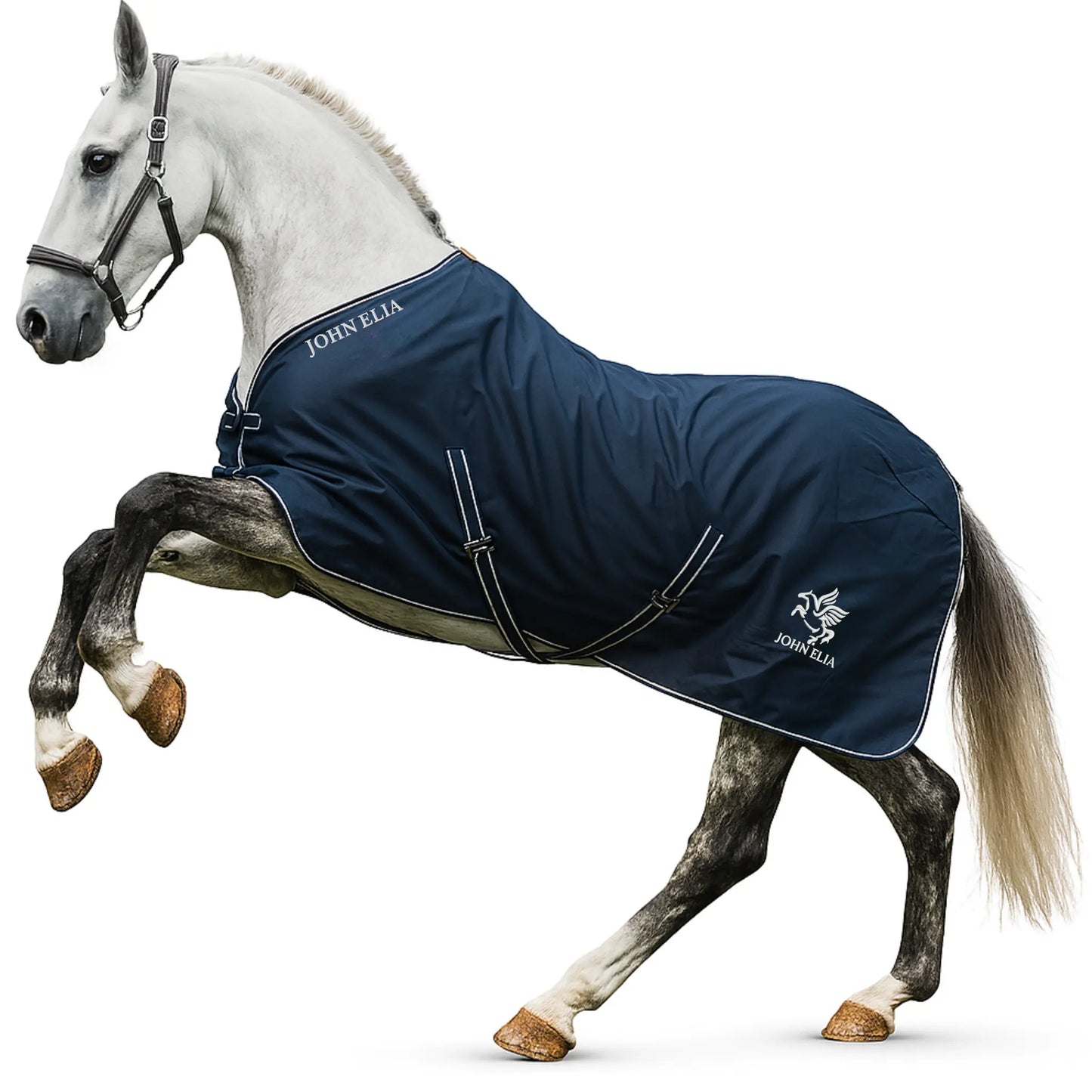 White horse wearing a navy blue John Elia rug on a white background