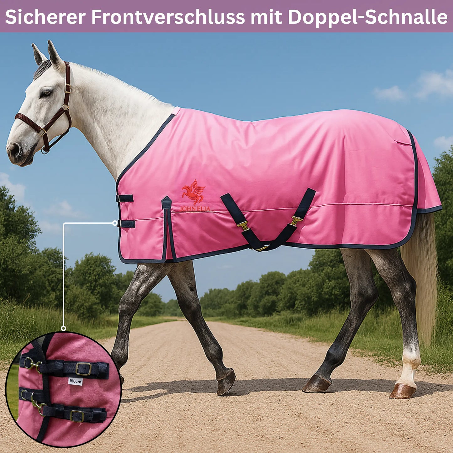 Horse wearing a pink blanket with a double buckle on a dirt road with trees in the background.