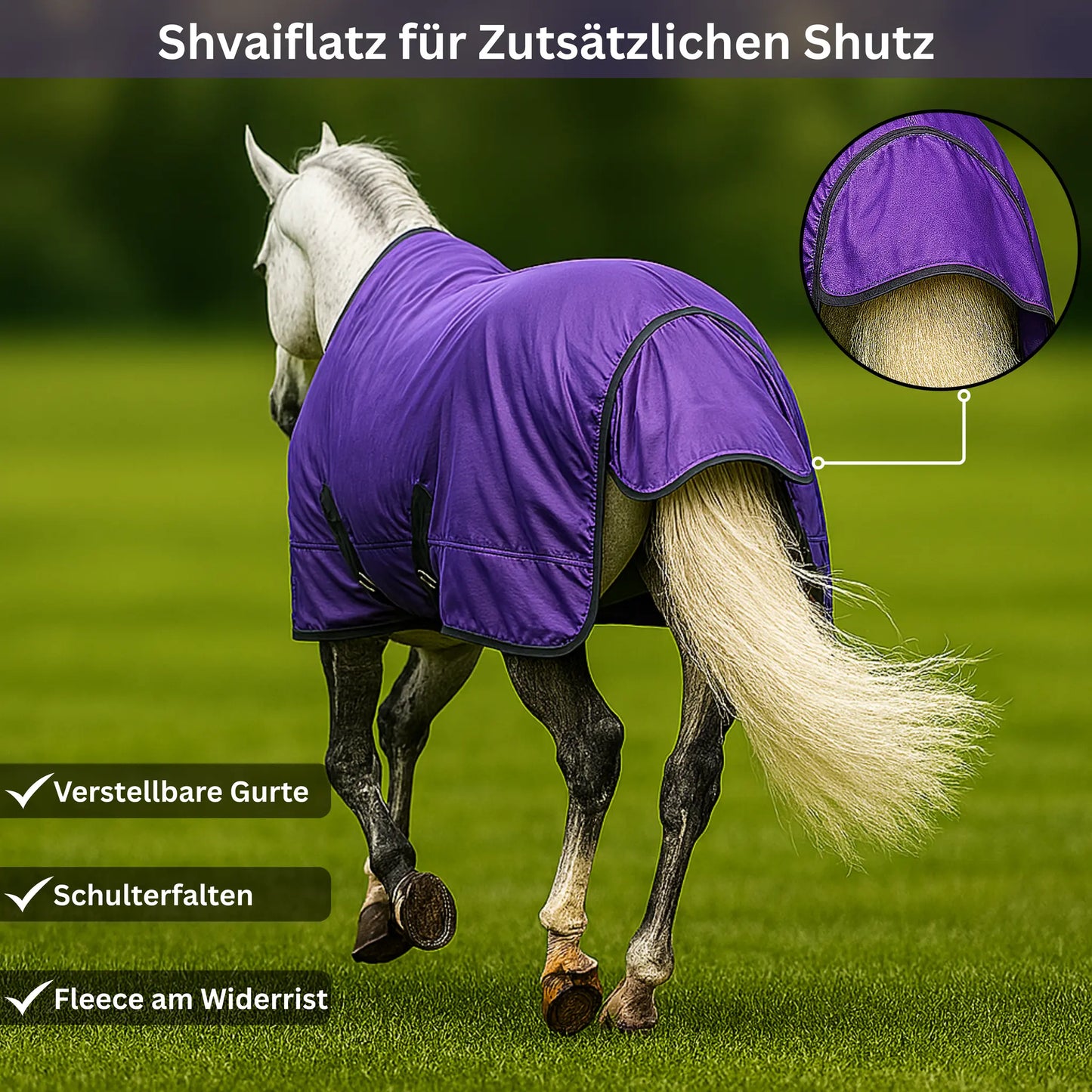 Horse wearing a purple protective blanket with additional features highlighted on a green field.