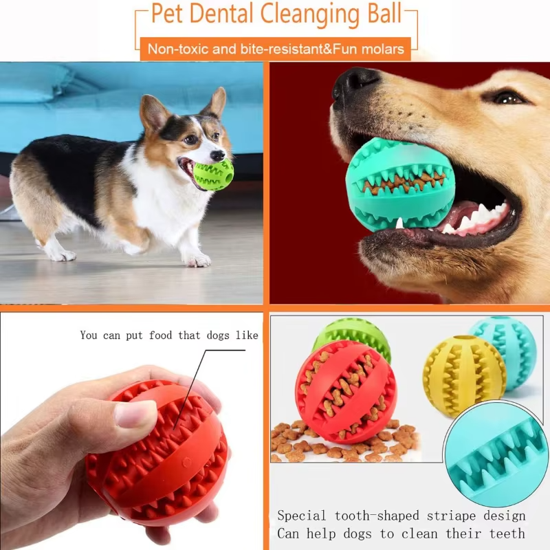 Interactive Treat Ball Toy
