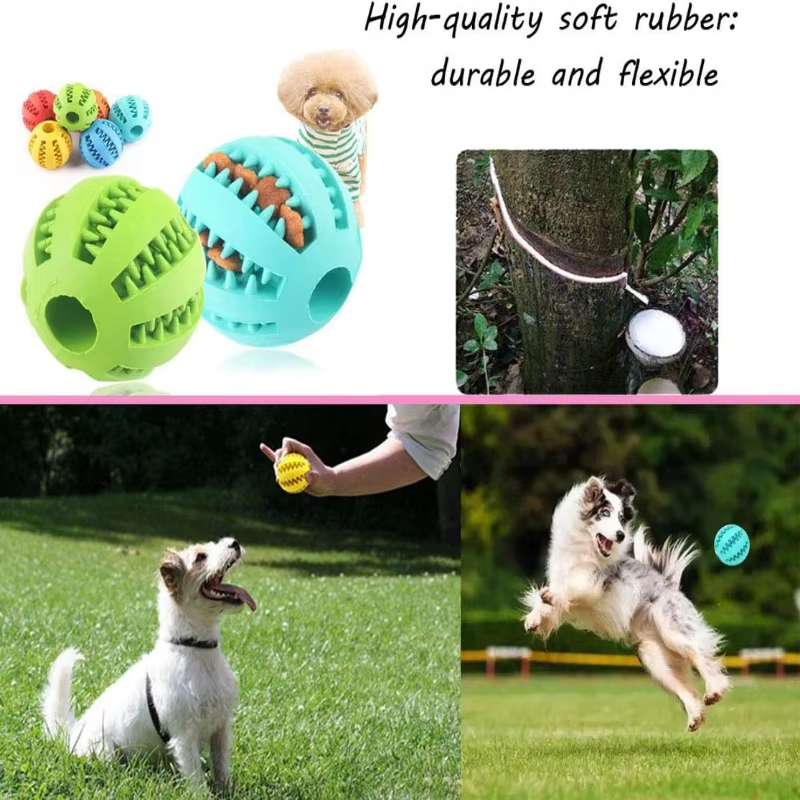 Interactive Treat Ball Toy