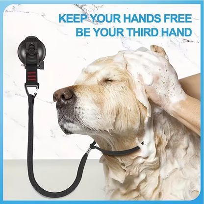 Pet Grooming Suction Leash