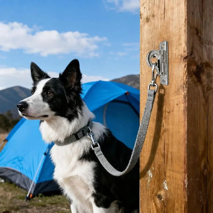 Stainless Steel Dog Tie-Out Hook