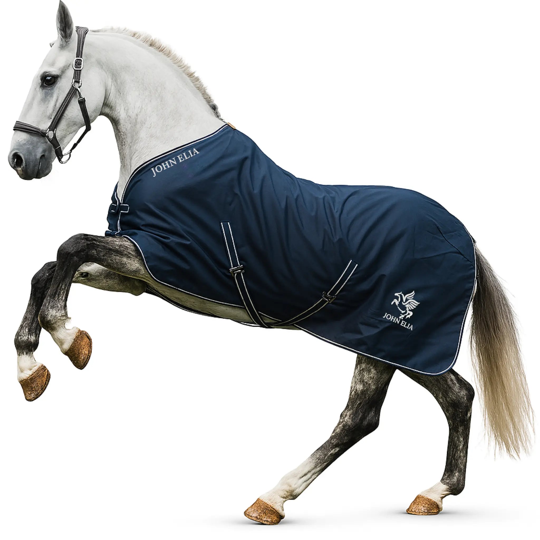 Horse wearing John Elia waterproof 1200D turnout rug in navy blue with white trim, lightweight 0g outdoor horse rug for field turnout.